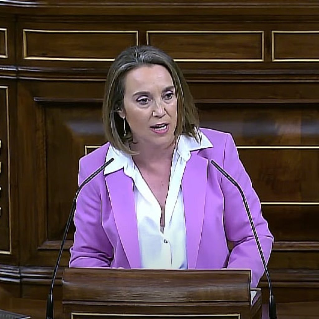 El PP se abstiene en la moción de censura «por respeto a Tamames»