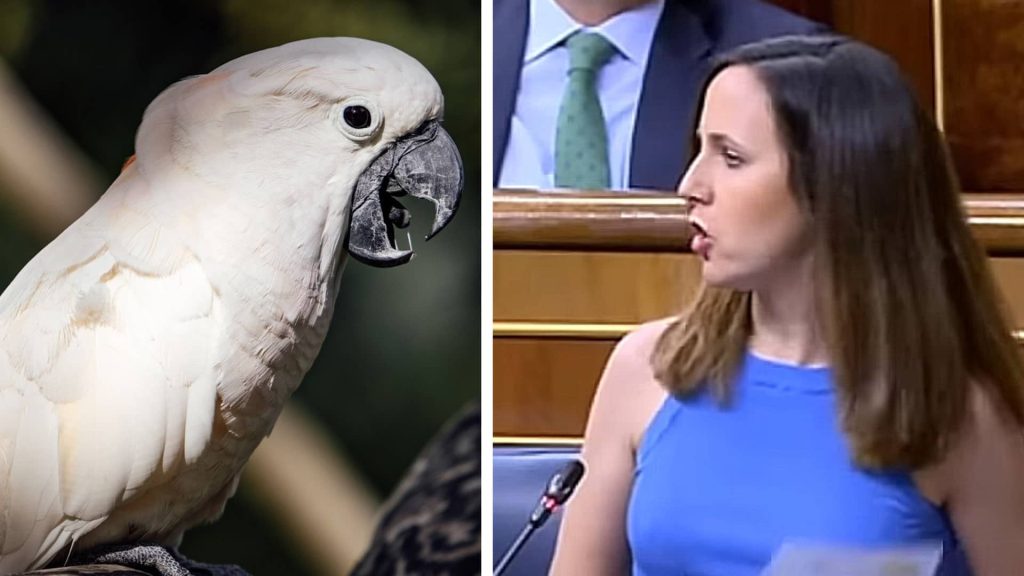 Asociaciones de colectivos afectados advierten de las nefastas consecuencias de la Ley animalista de Ione Belarra