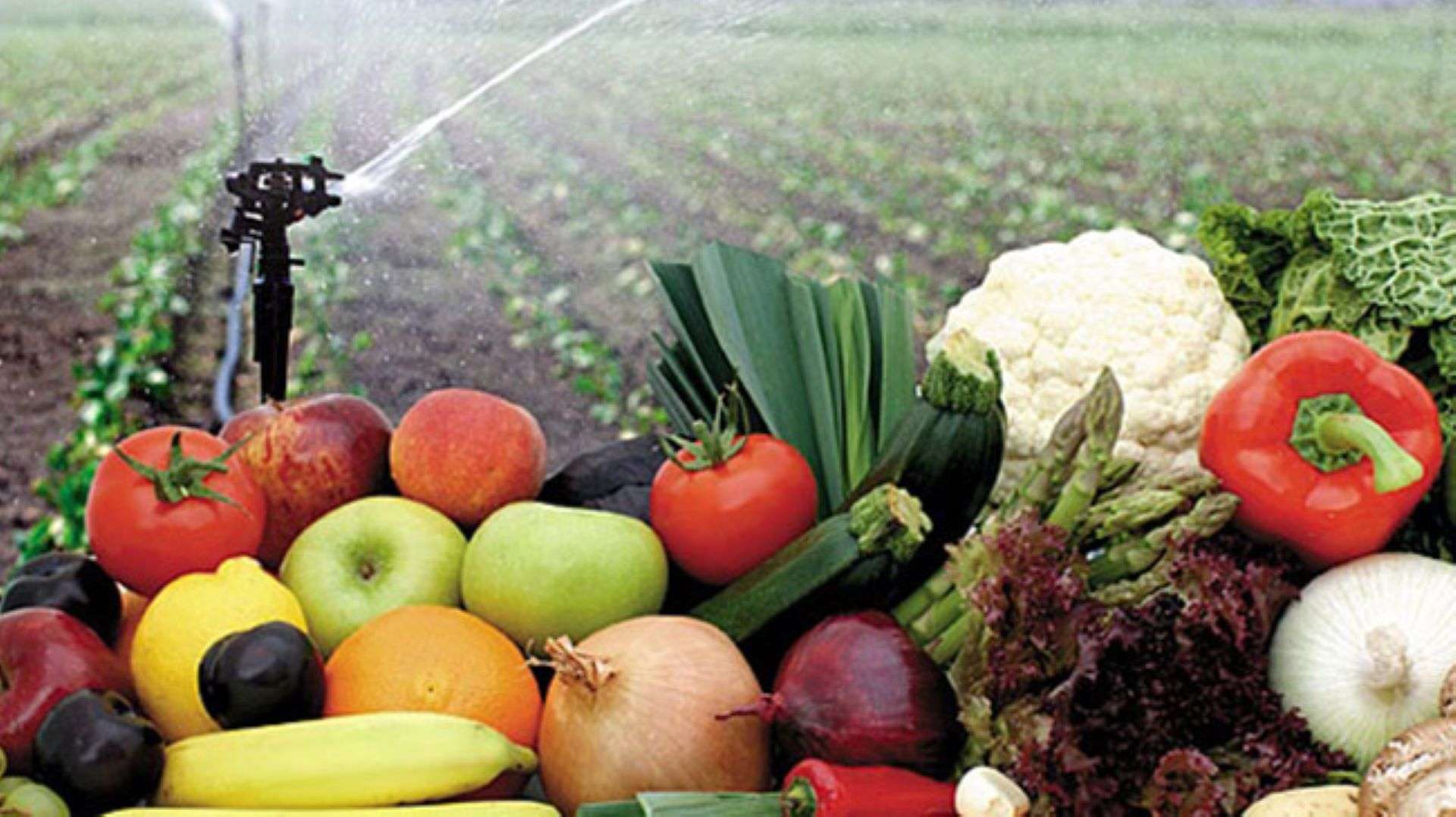 La mitad de las importaciones españolas de alimentos ya proceden de fuera de la UE