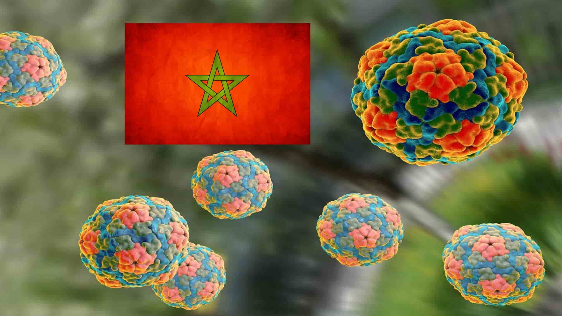 Alerta sanitaria por la entrada en España de fresas marroquíes contaminadas con hepatitis-A