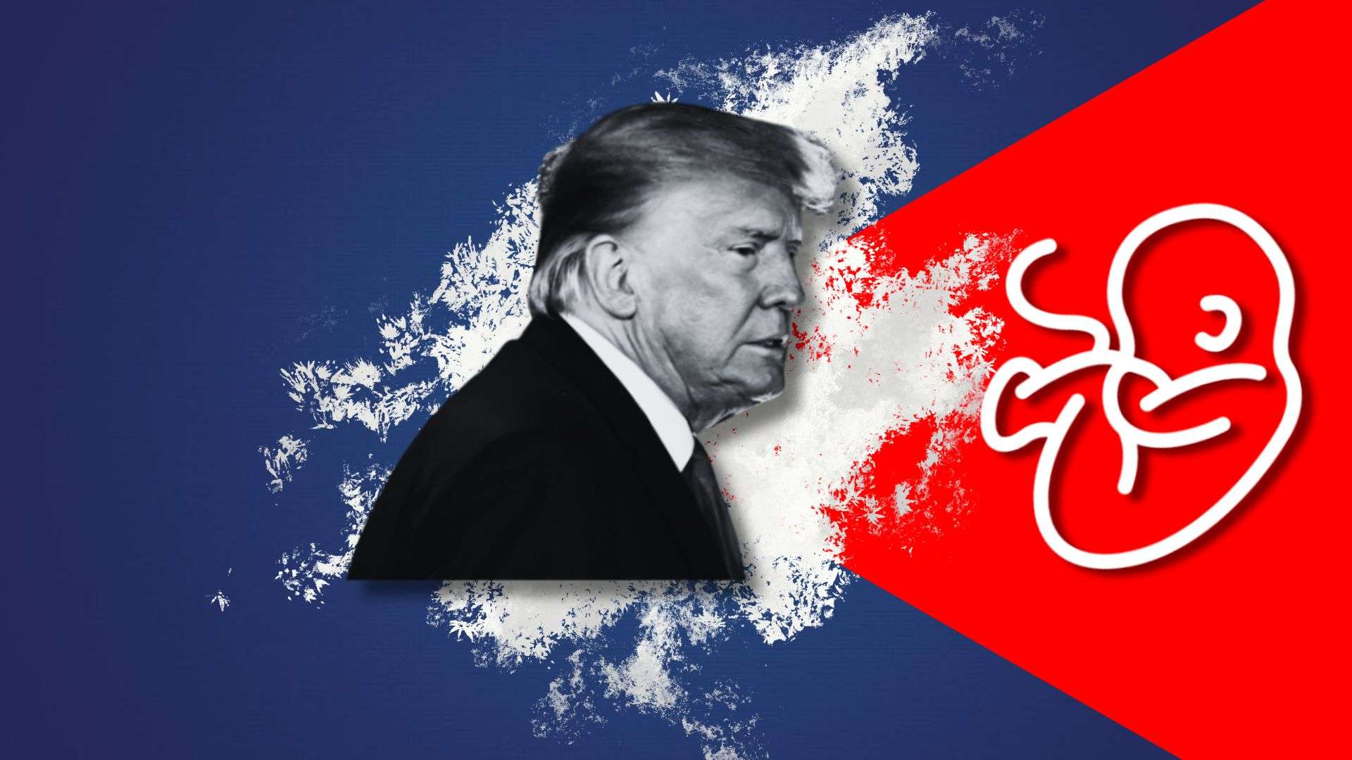 xr:d:DAF29qOacWk:668,j:3387131274389211843,t:24040918