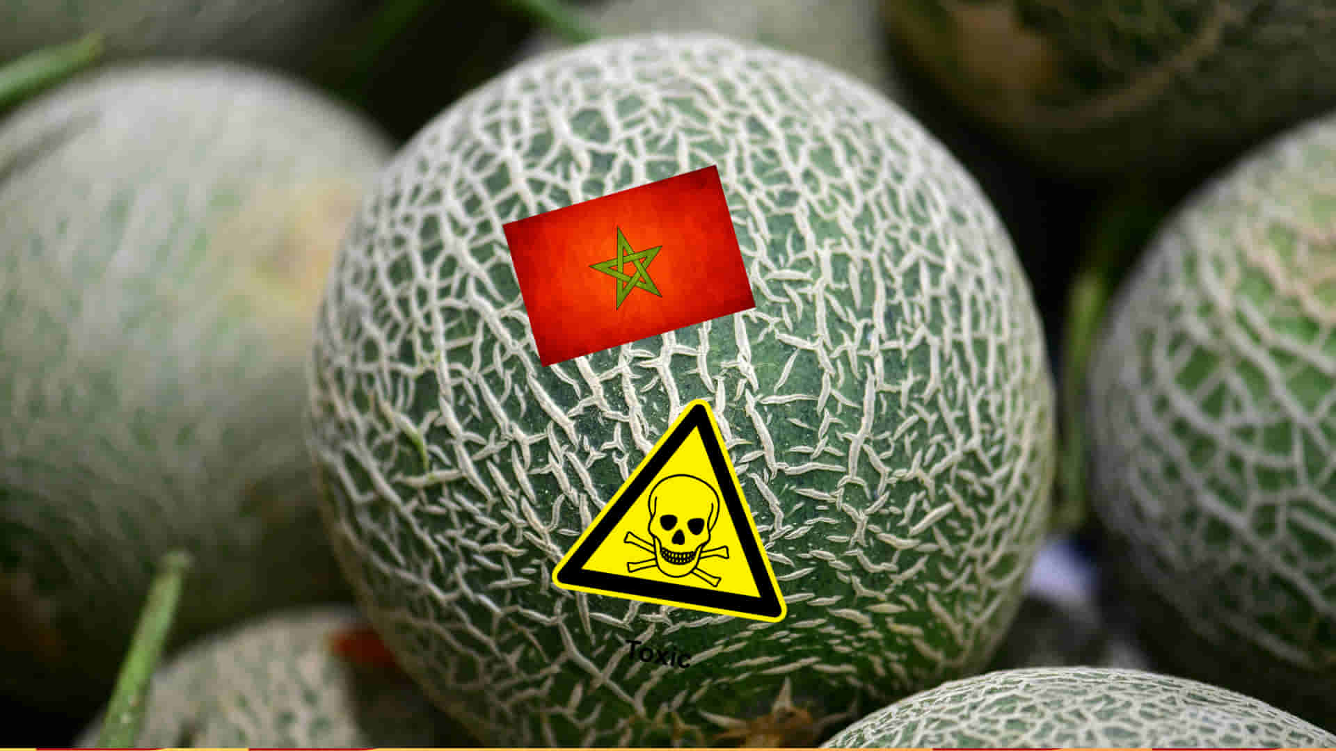 Detectada una partida de melones marroquíes contaminados con un pesticida prohibido