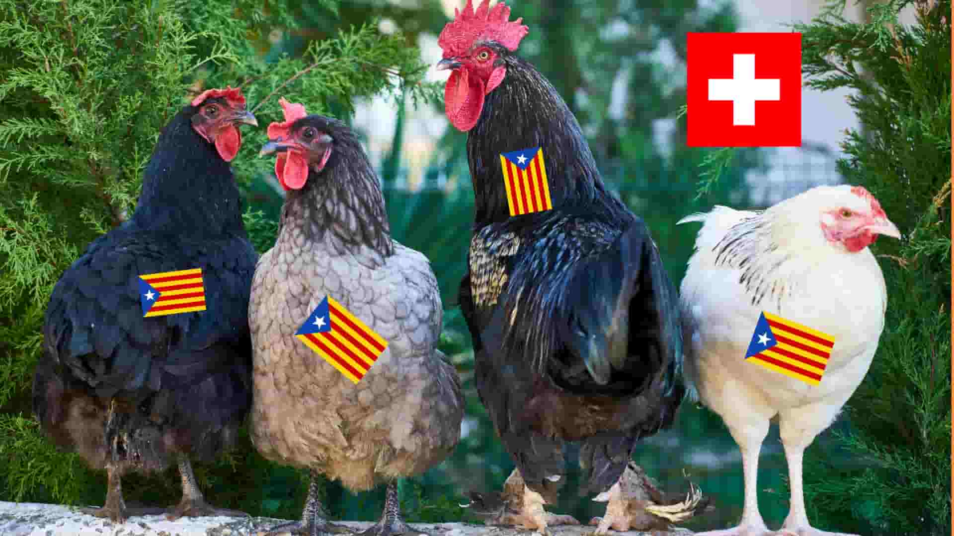 Sigue la espantada de los investigados por Tsunami