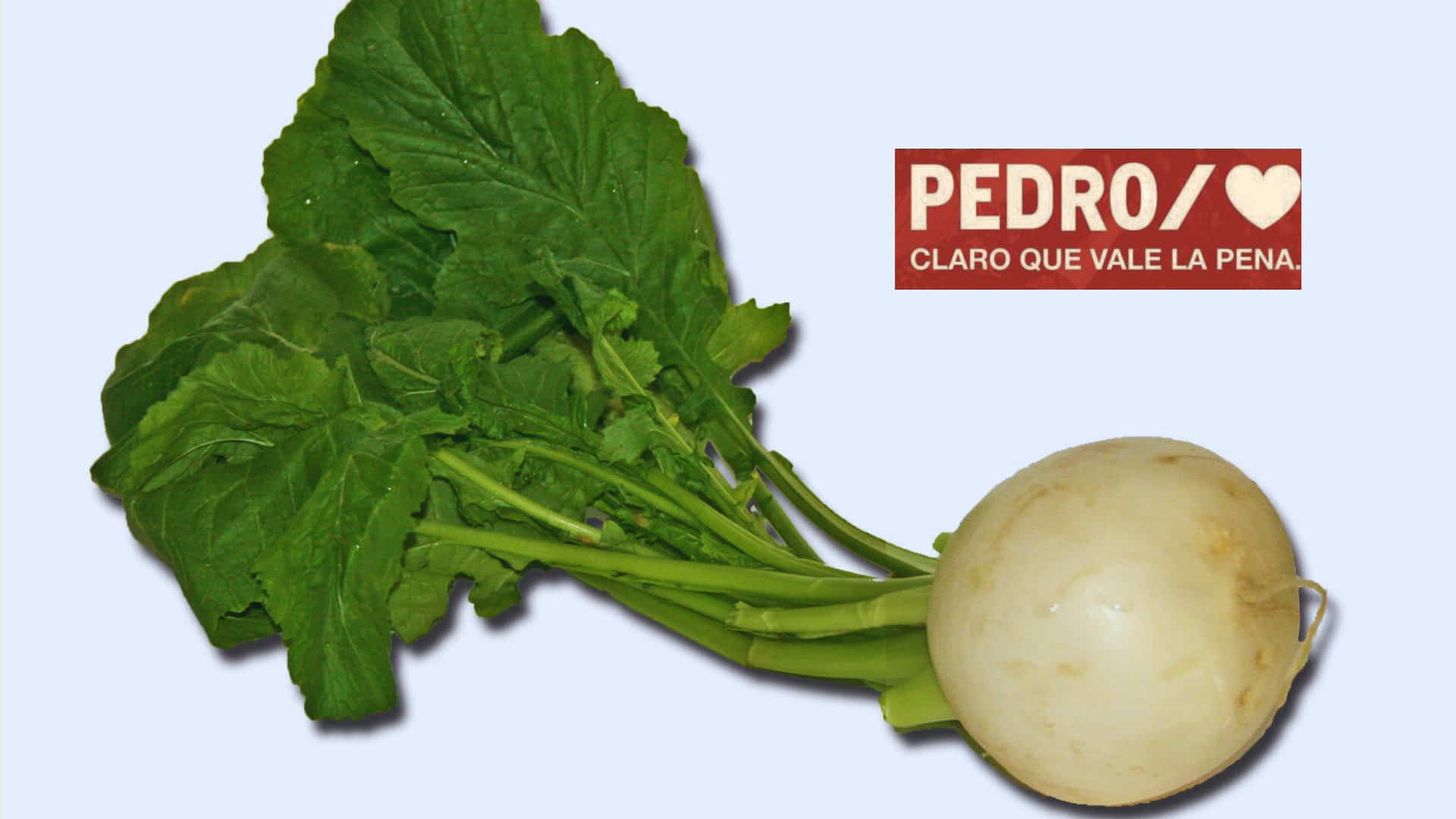 ‘Mina Bogordo’ y Carrero Blanco: los ‘escritores y periodistas’ firmantes del manifiesto de apoyo de Sánchez