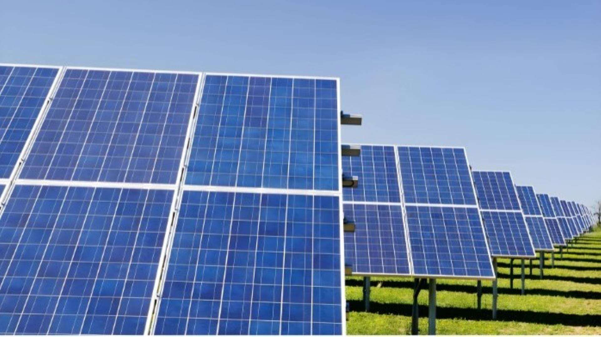 La mayoría de españoles considera malas las políticas Sanchistas de transición ecológica