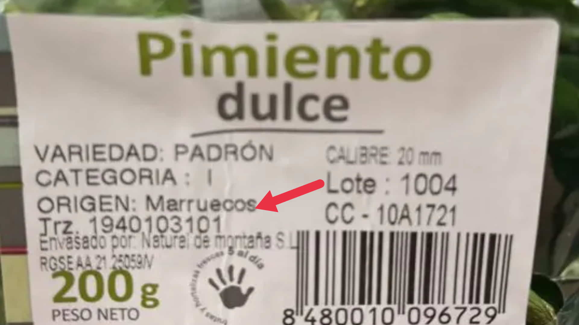 COAG denuncia ‘importaciones de choque’ hortofrutícolas para ‘reventar los precios’