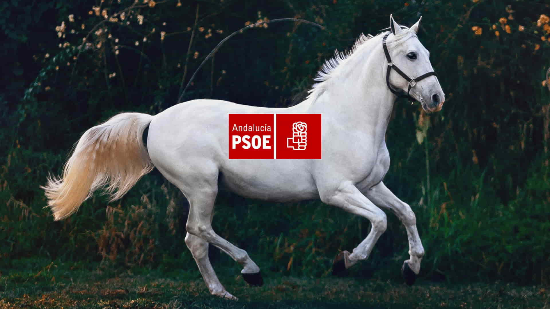 Condenado a catorce meses de prisión un exalcalde socialista de Los Palacios en una pieza separada del caso ERE