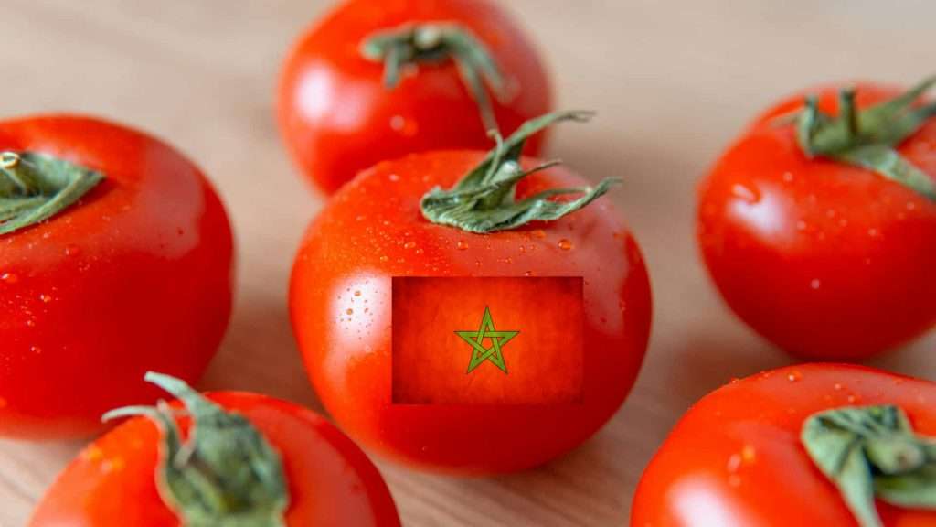 El sector del tomate español denuncia la ‘indefensión’ ante las importaciones de Marruecos