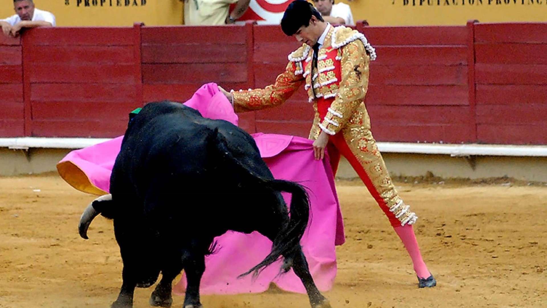 toros-tauromaquia-premio-españa-ministerio-cultura toros-tauromaquia-premio-españa-ministerio-cultura