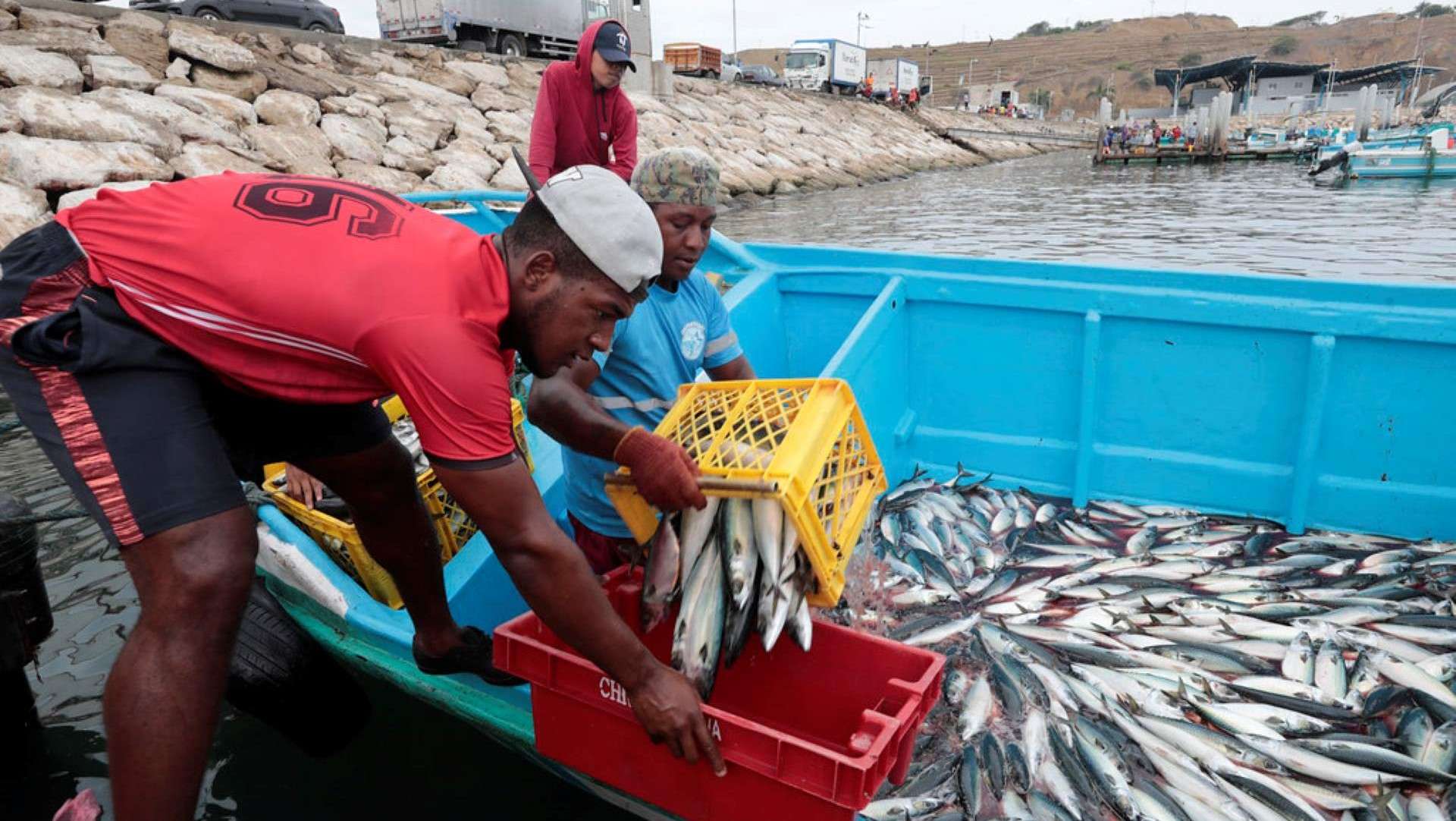 importacion-pescado-marruecos-venezuela-sector-pesquero