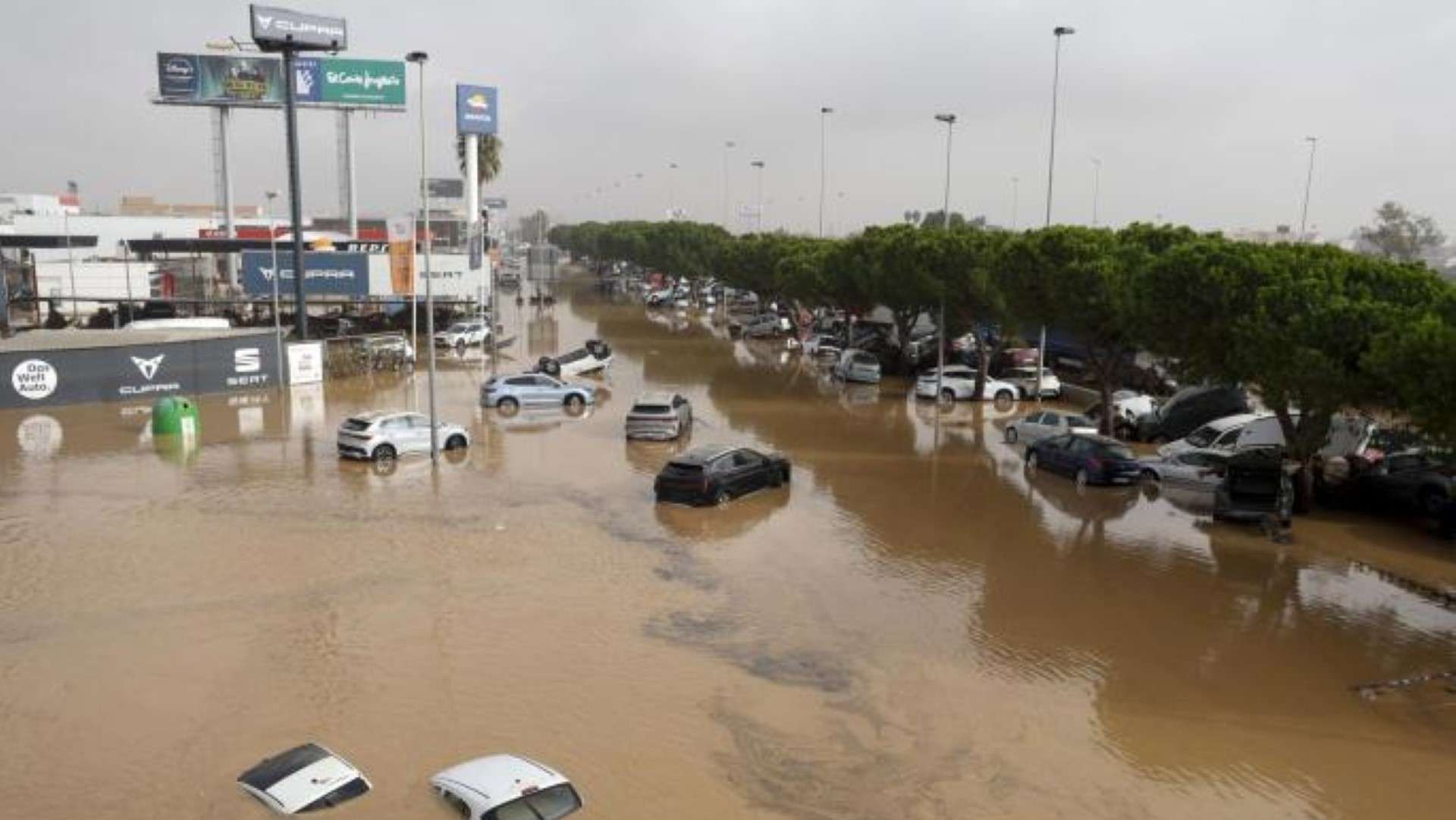 Sánchez excluye de las ayudas por la DANA a afectados sin ingresos agrarios en 2023