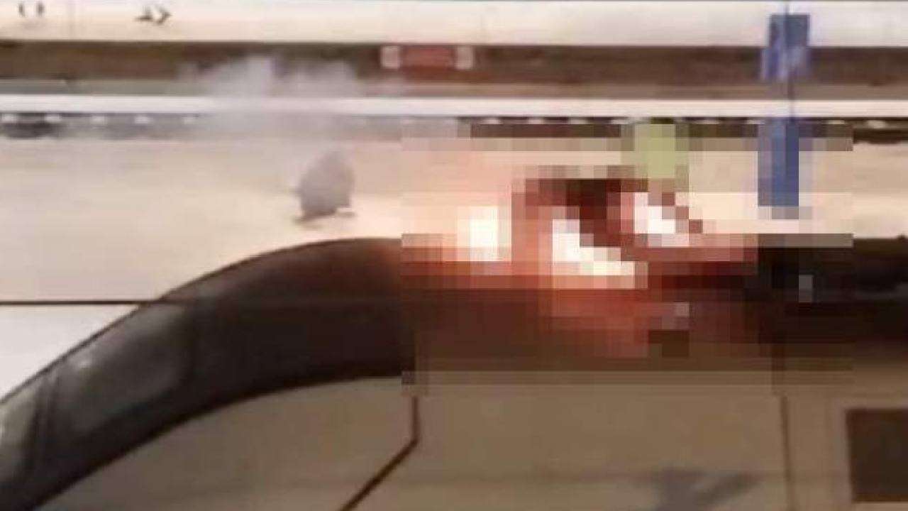 Proyecto nuevo (19) Proyecto nuevo (19)