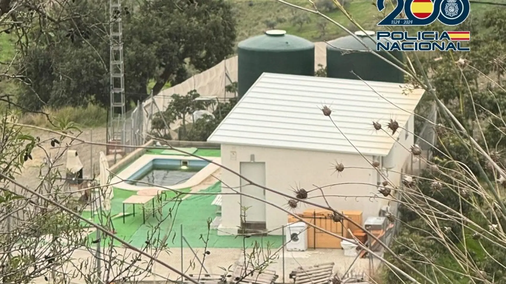 920917964_252779422_1706x960