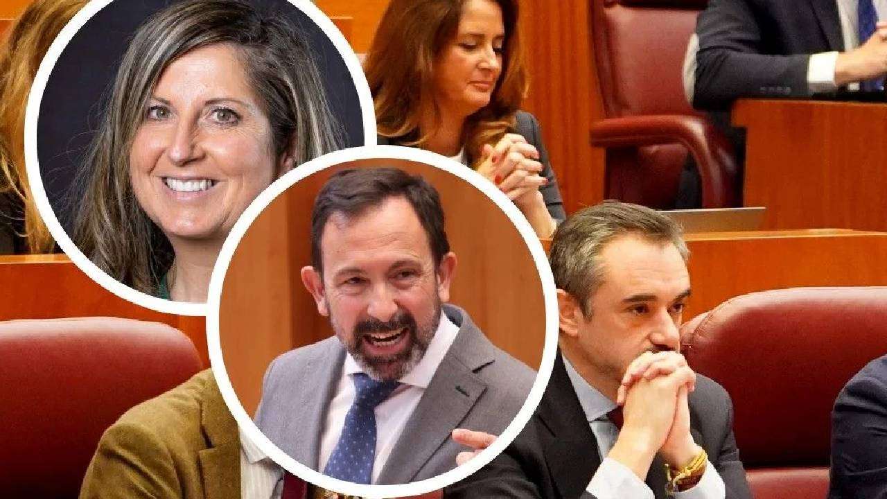 Proyecto nuevo Proyecto nuevo