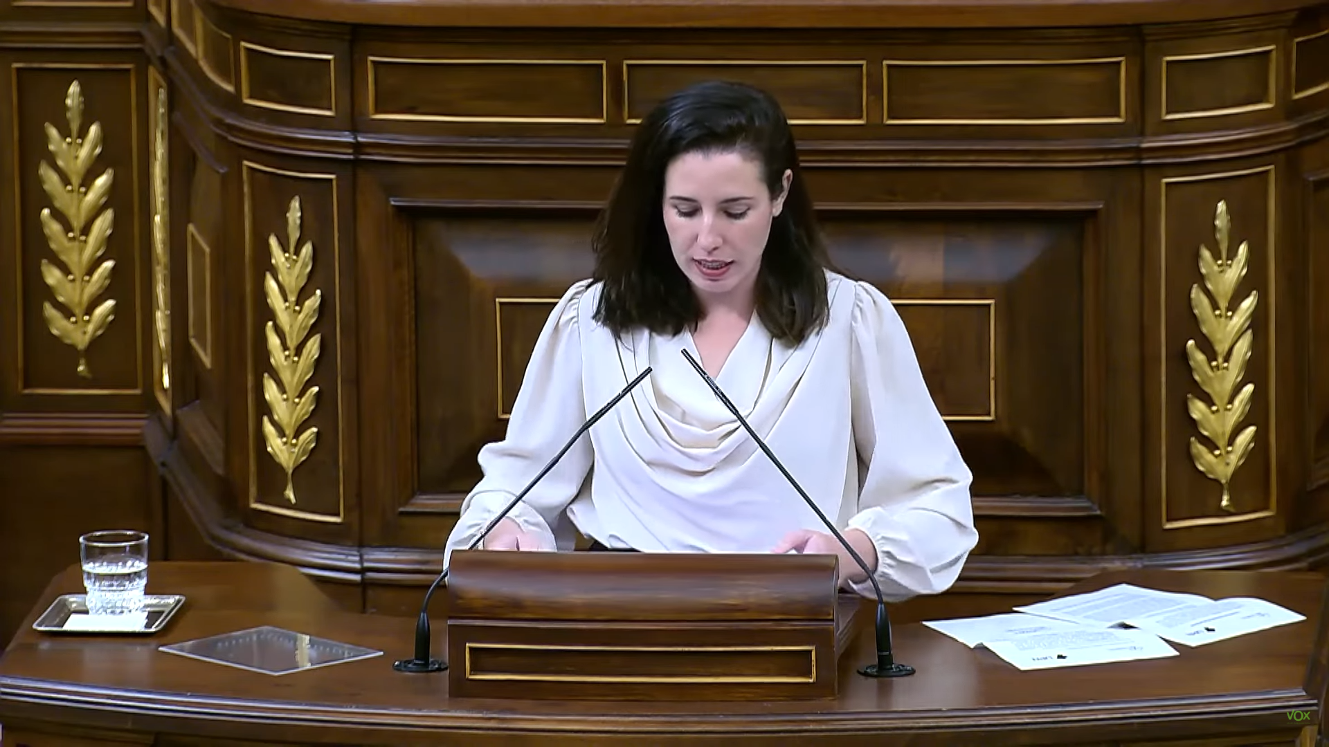 De Meer denuncia que la llegada masiva de inmigrantes devalúa los salarios de los españoles