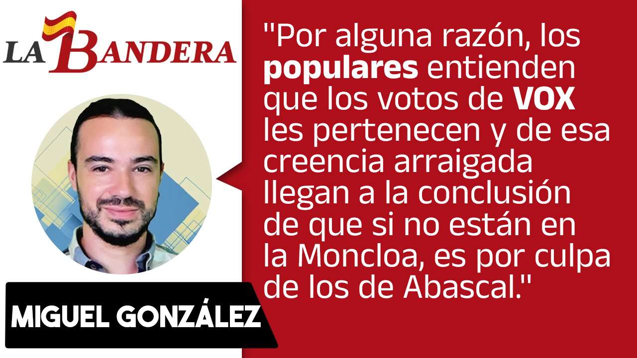 articulo de opinión de Miguel