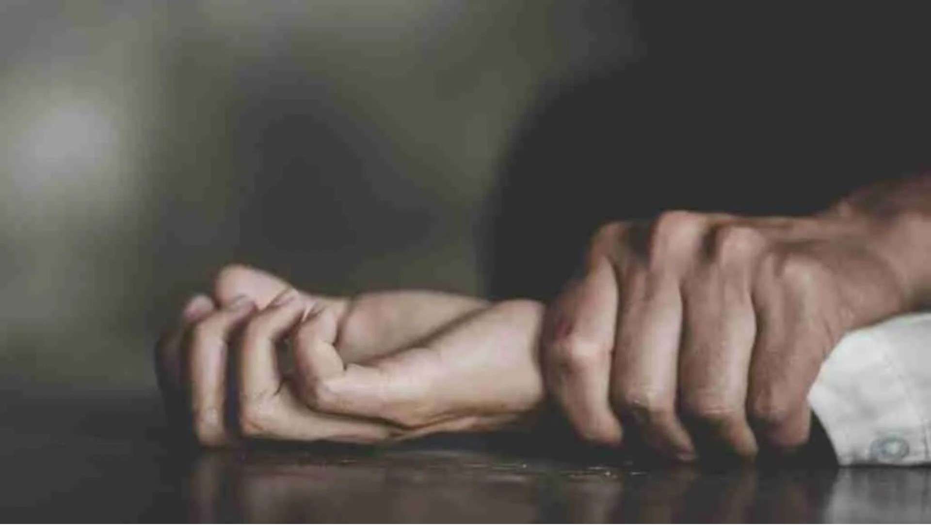 Pakistaní condenado a 2 años por intento de agresión sexual a una menor discapacitada en Navarra