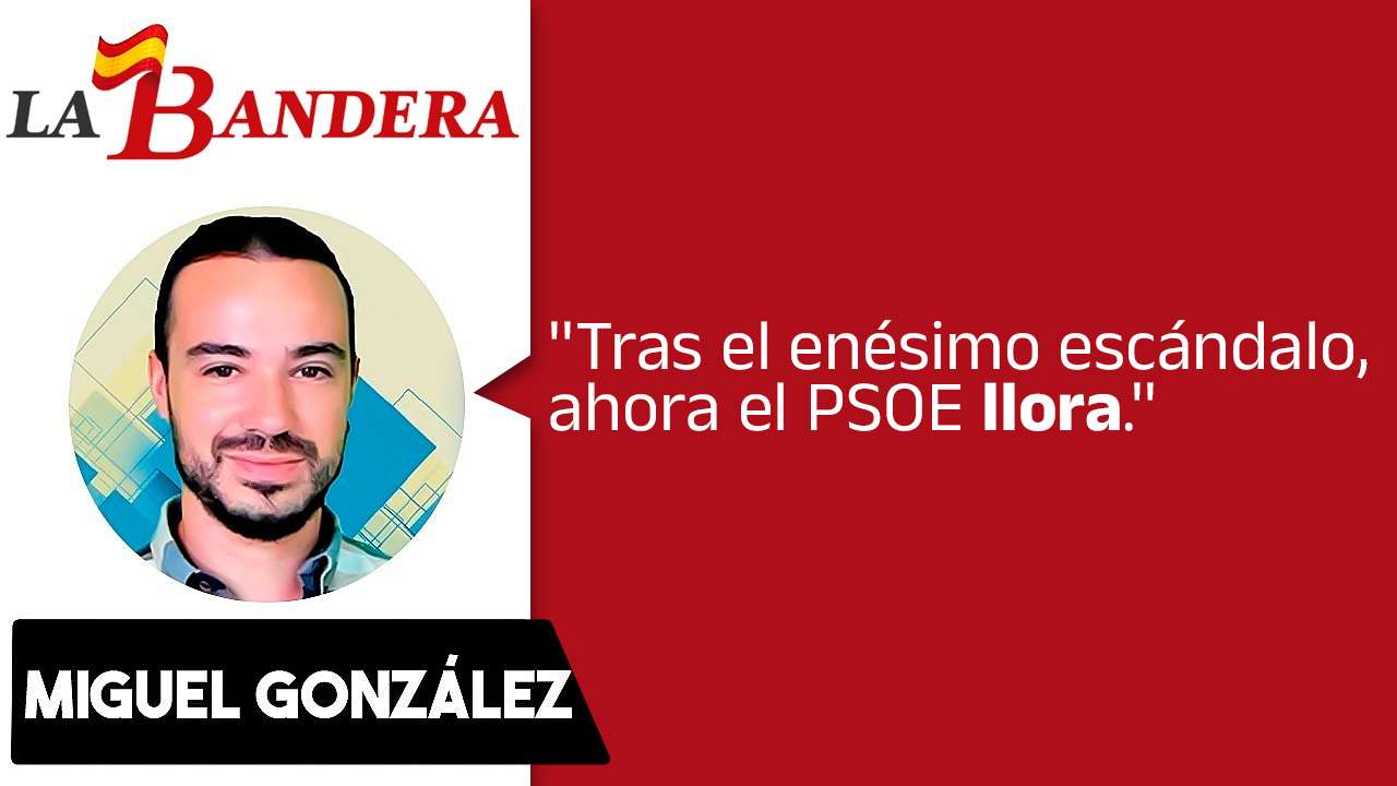 Psoe Psoe
