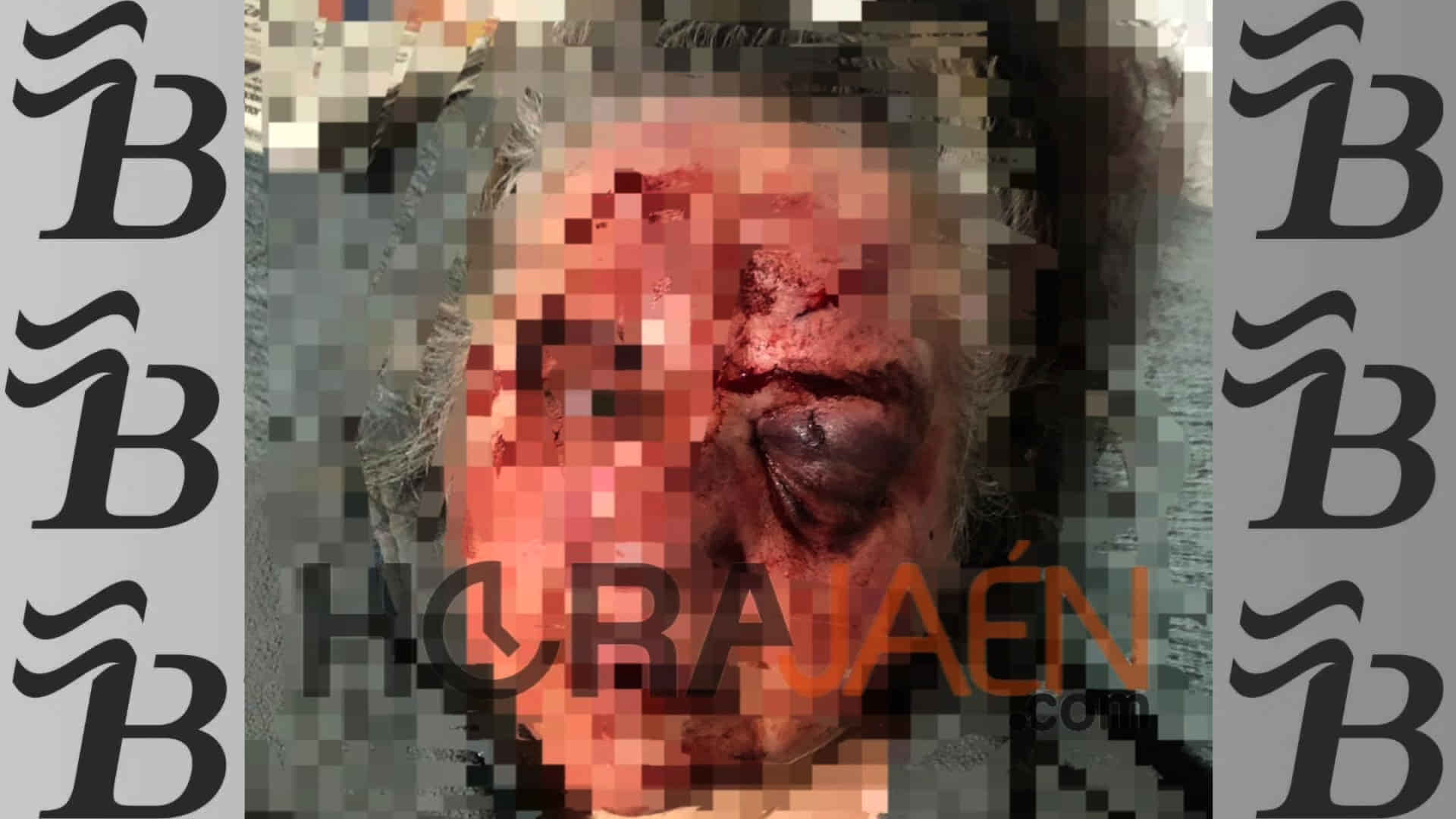 víctima del ladrón magrebí. HORAJAÉN