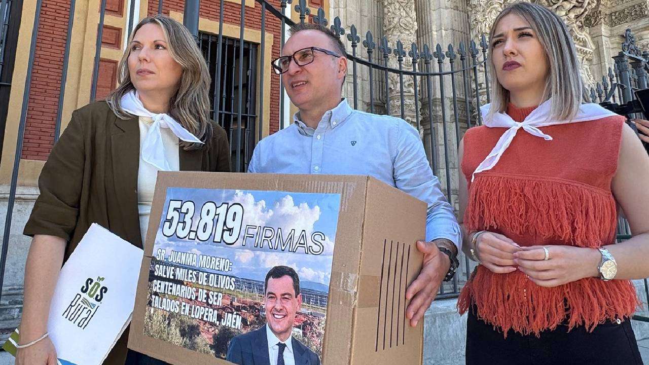 PlataformaOlivos PlataformaOlivos