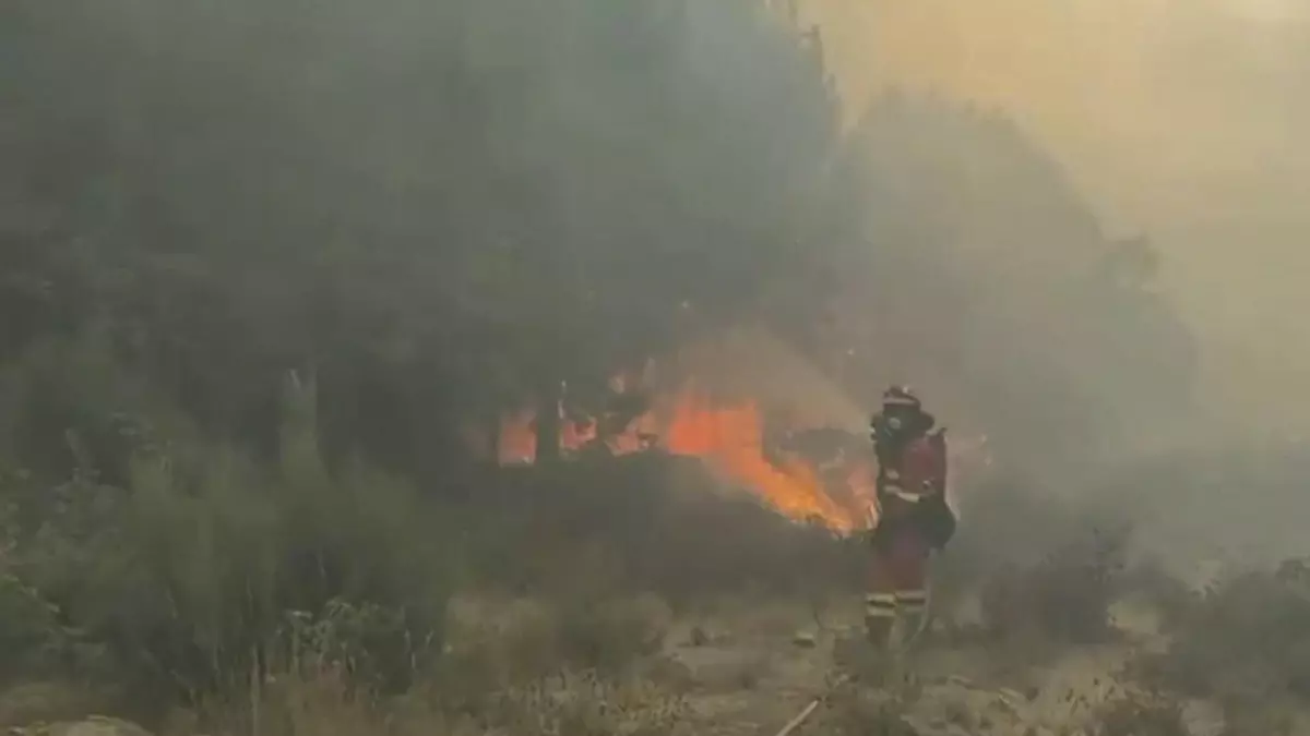 10b815a2-affc-43ac-9669-d713da83e1a3_16-9-discover-aspect-ratio_default_0 muere bombero en incendio ávila