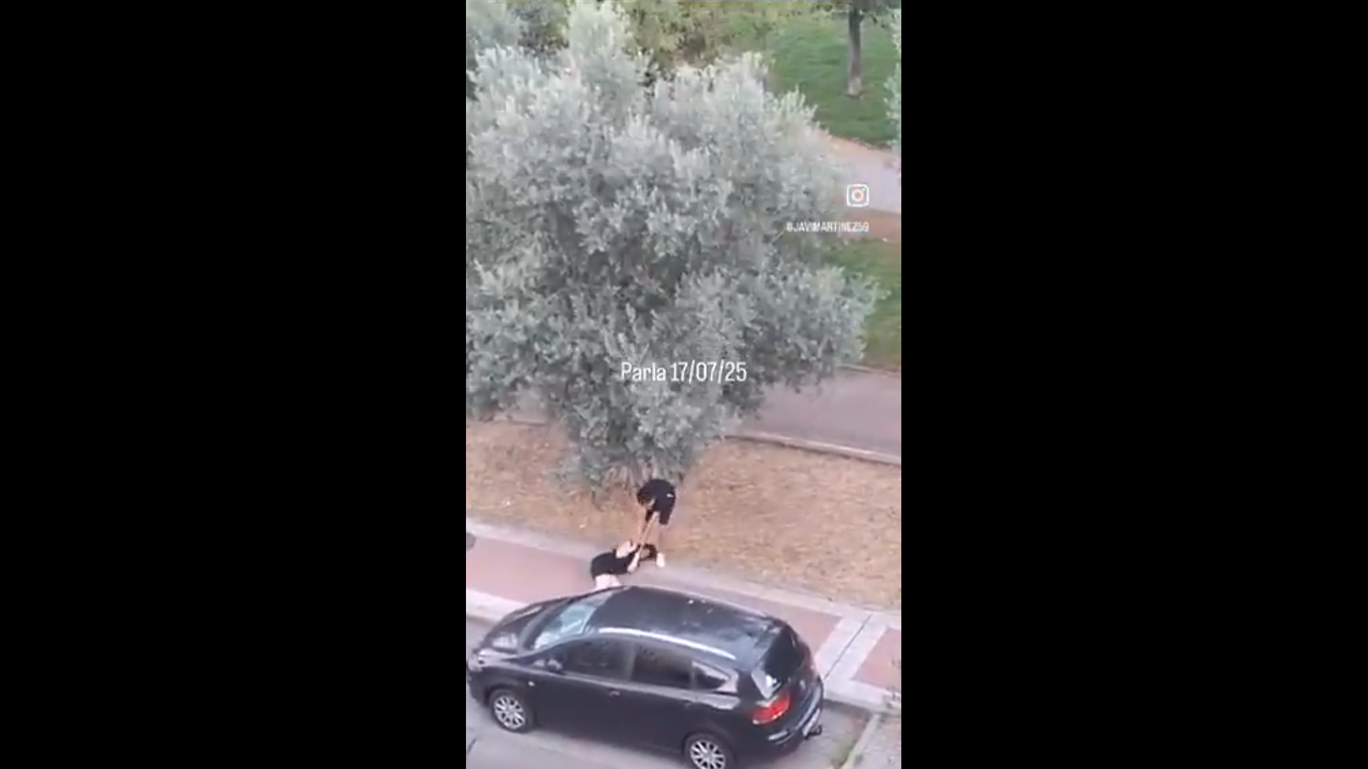 Captura de pantalla (17072)