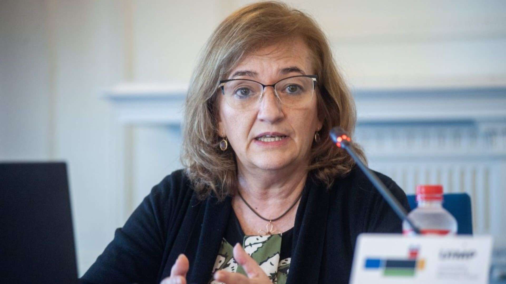 Cristina Herrero- Airef Cristina Herrero/Airef