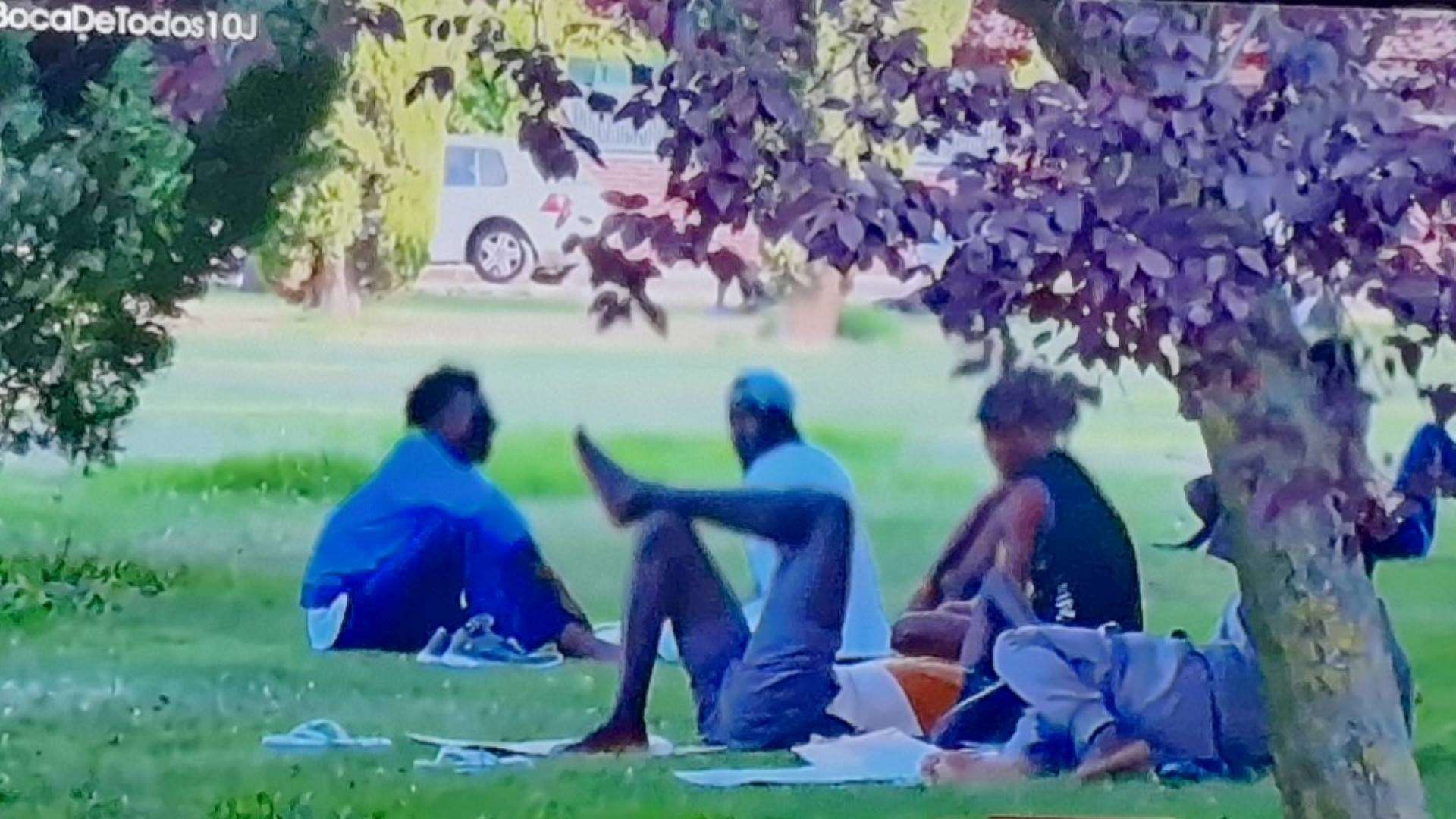 Ilegales en Alcalá de Henares/Cuatro