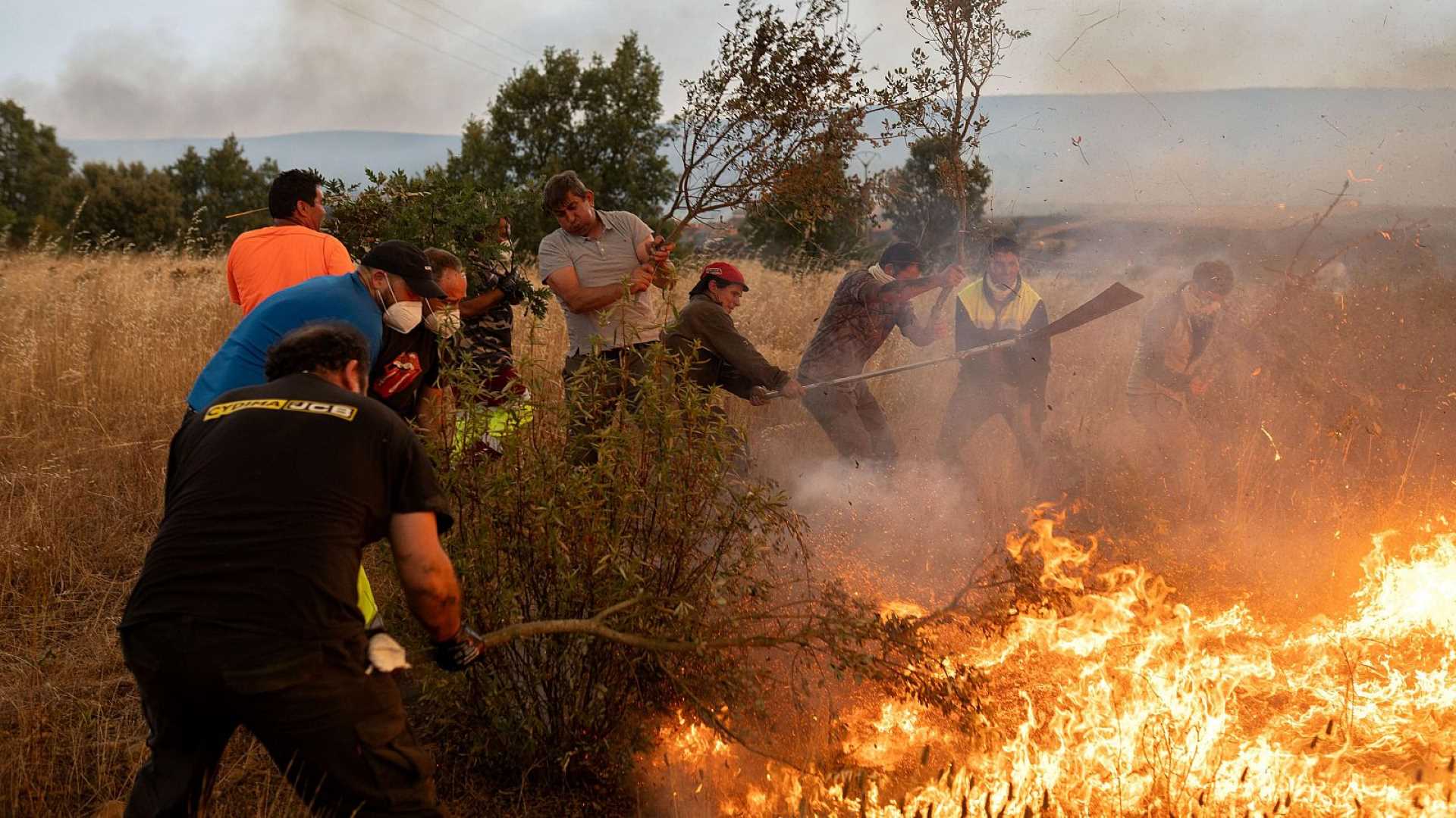 ASAJA culpa al bipartidismo de la oleada de incendios: “la devastación no es fruto de la casualidad”