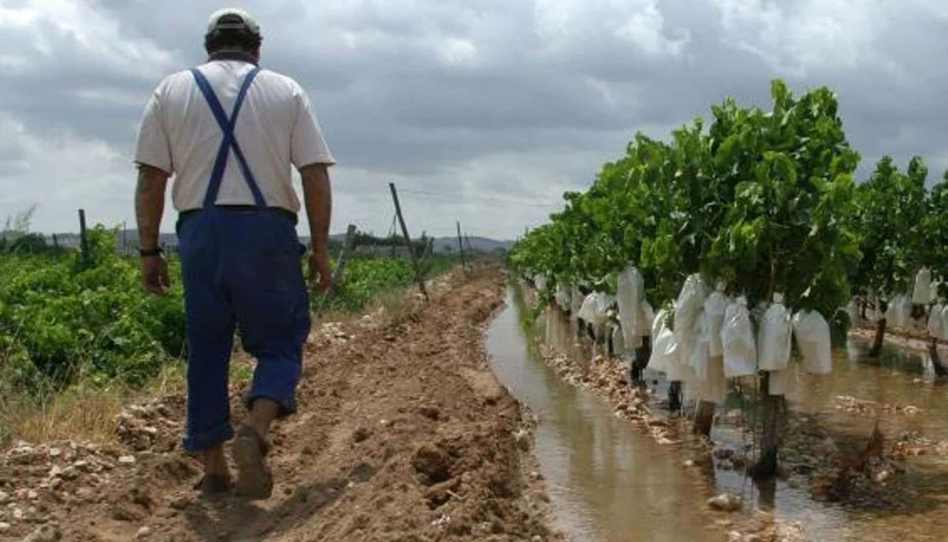 Agricultores ASAJA/ABC