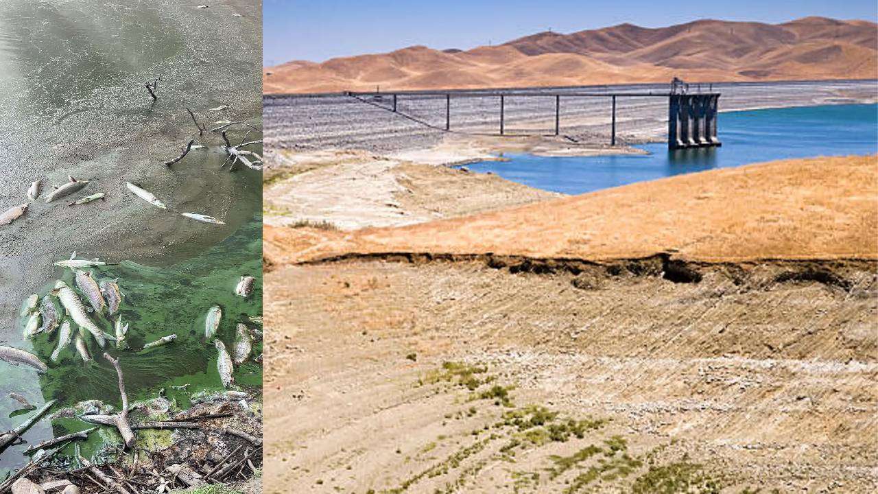 El gobierno tira 50.000 millones de agua del embalse de Alcollarín, Cáceres y provoca un desastre medioambiental