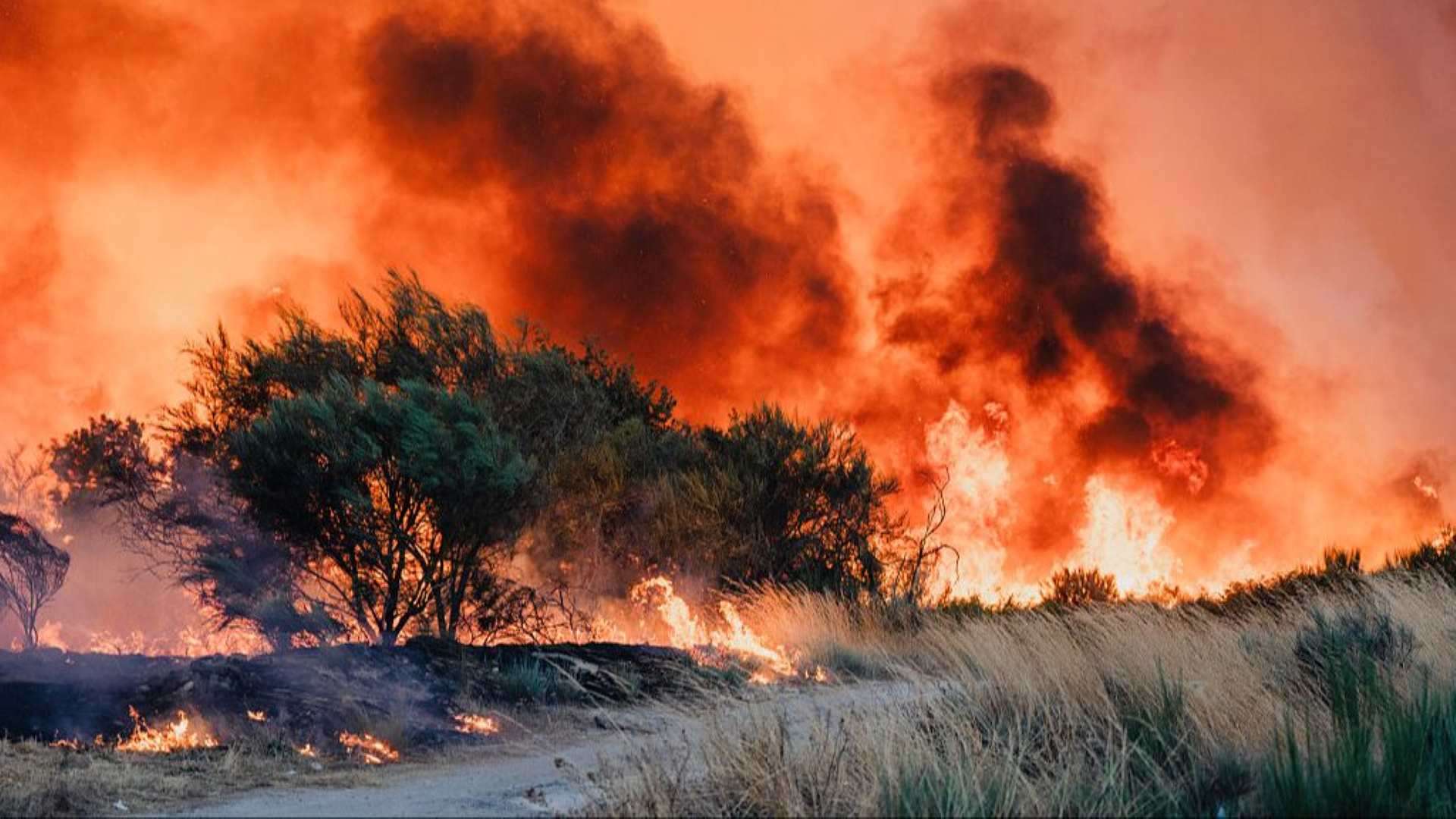 El bipartidismo reduce a mínimos la inversión en prevención forestal