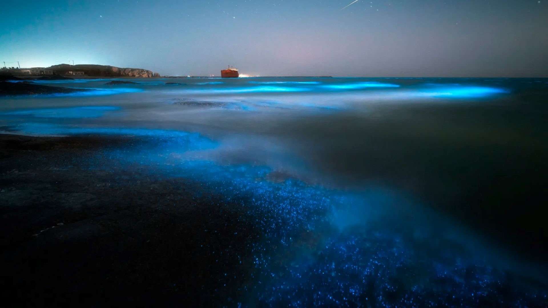 Bioluminiscencia/Muy interesante