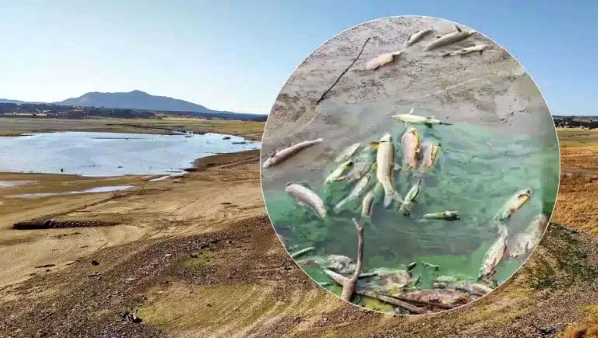 Mientras España arde, el Gobierno se dedica a vaciar embalses