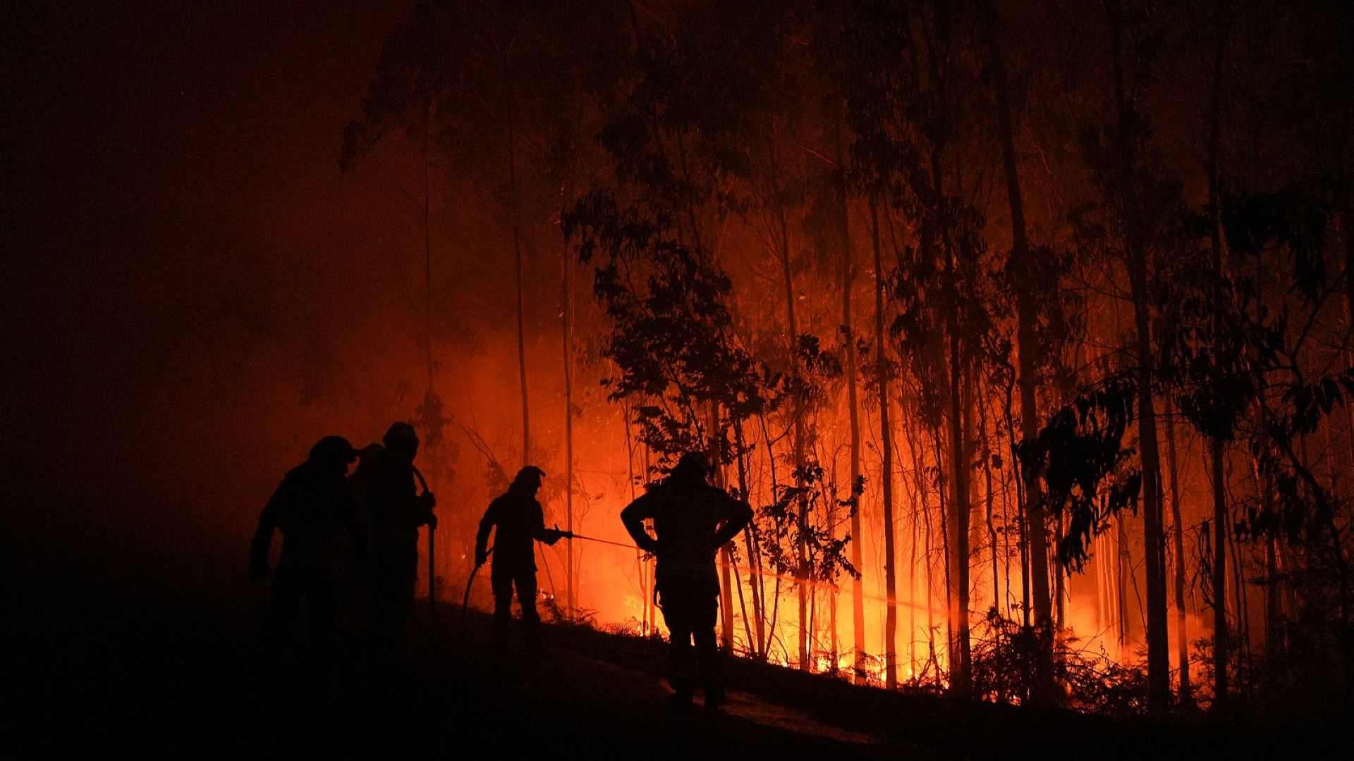 Más de 84.000 hectáreas calcinadas en los incendios de Zamora y Orense