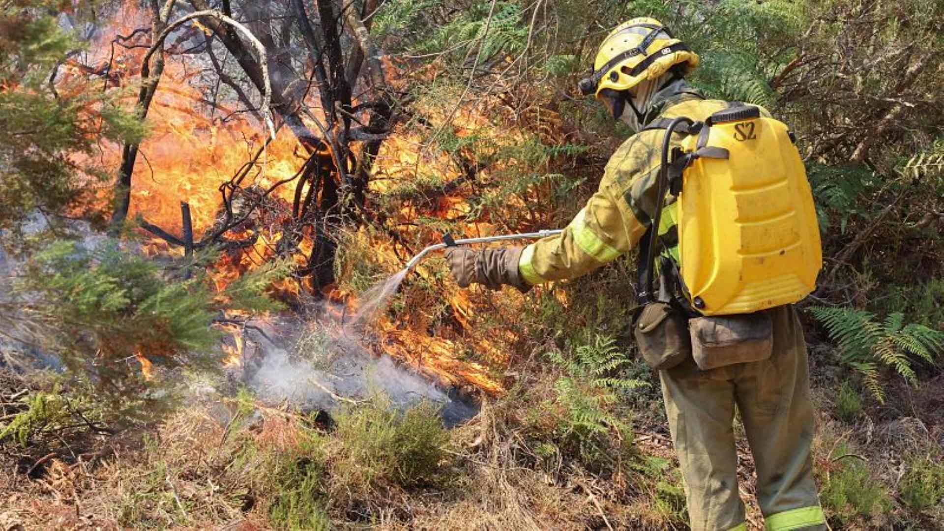 Incendios y fuego/RTVE