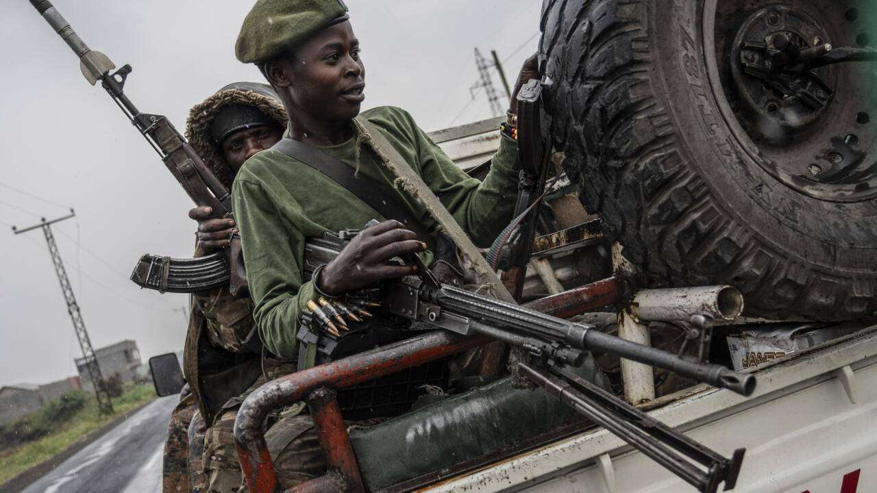 Guerrillas africanas