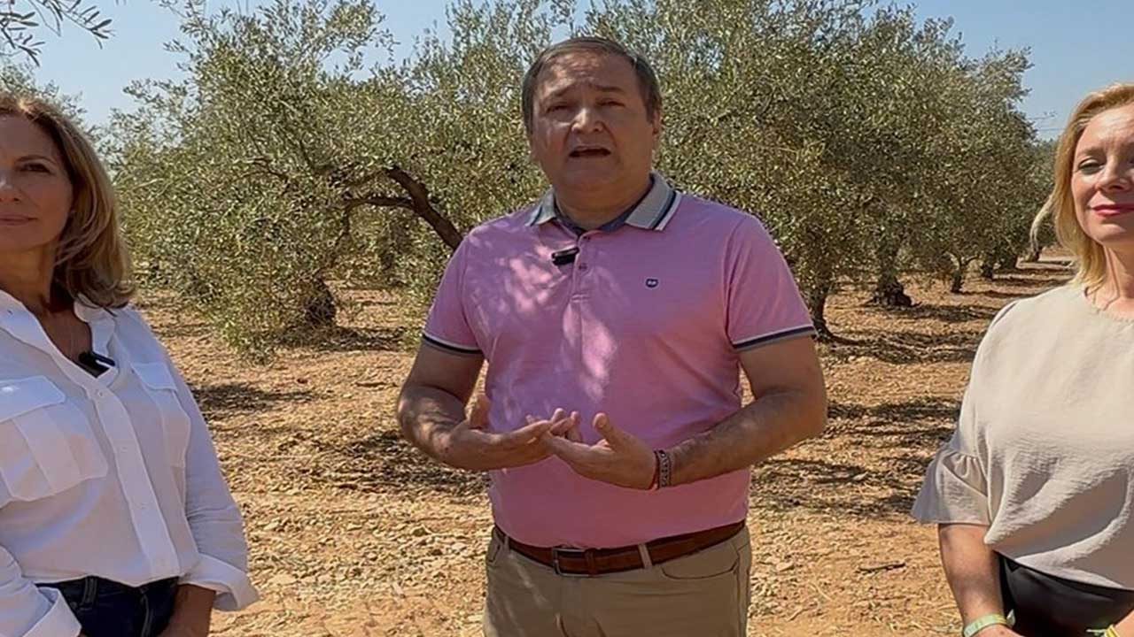 competencia desleal Marruecos aceite de oliva