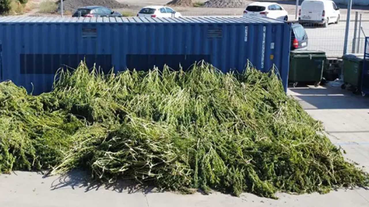 marihuana comisaría Mossos