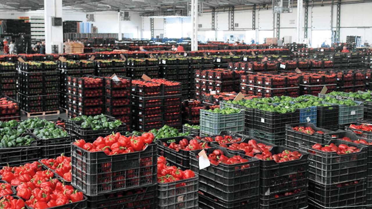 Productos agrícolas/Agronegocios