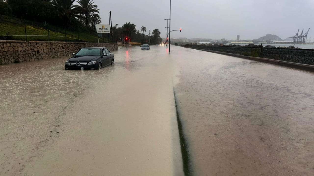 Dana Alice en Alicante