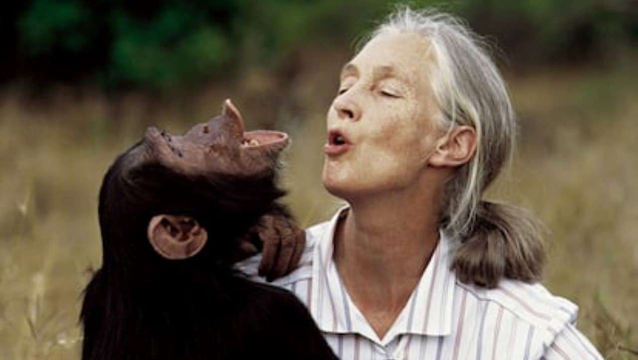 Jane Goodall/Redes Sociales