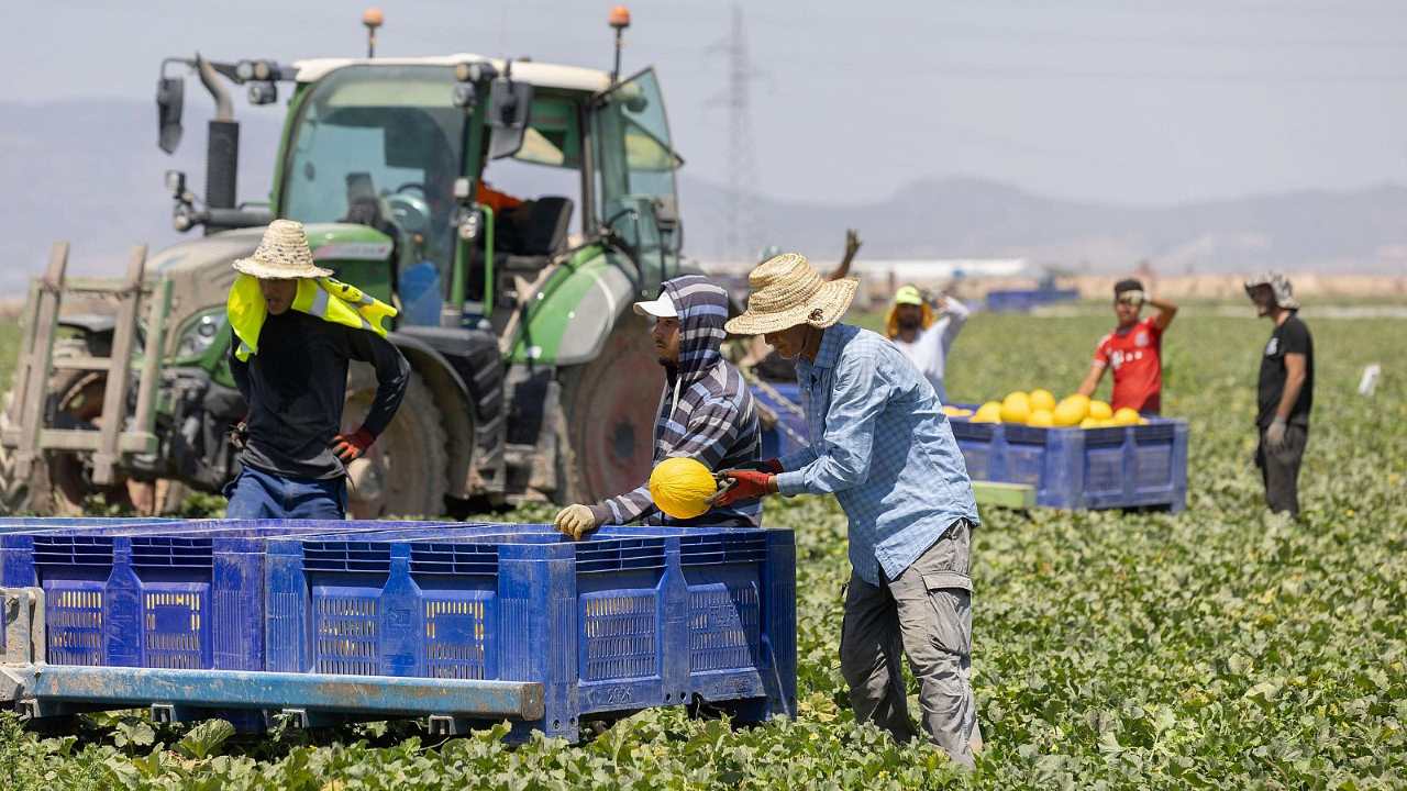 Trabajadores inmigrantes/RTVE