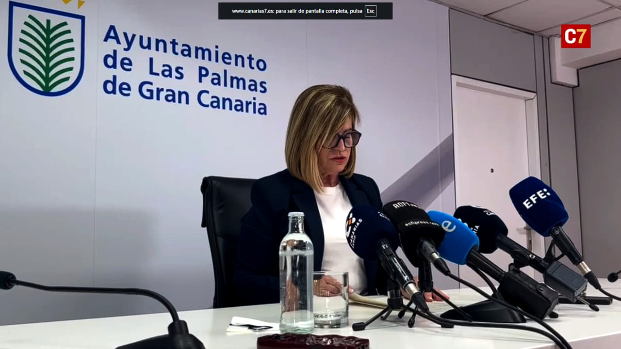 Concejal socialista de Las Palmas dimite tras su imputación en el ‘caso Valka’ de corrupción