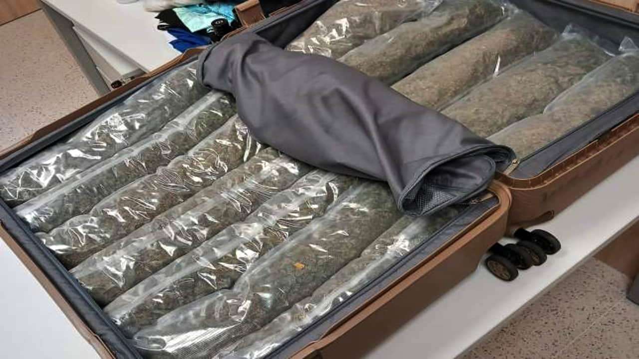Maleta llena de marihuana