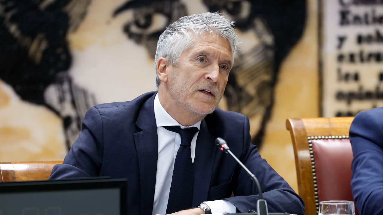 El ministro Marlaska/RTVE