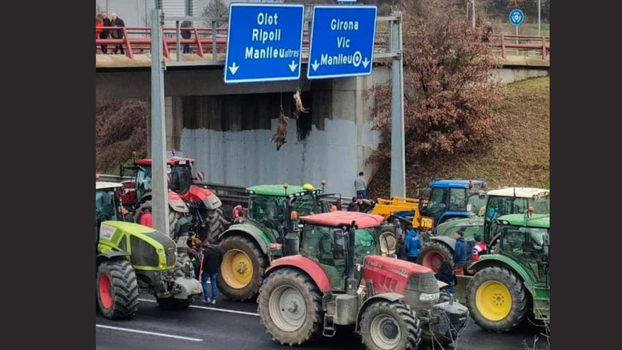Tractorada de agricultores catalanes para exigir el control urgente de la fauna salvaje