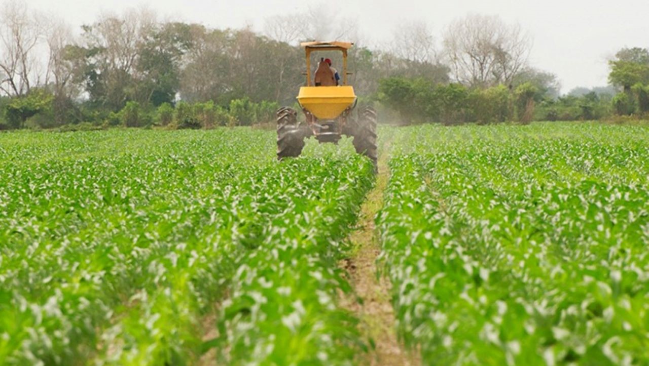 La UE sigue machacando al campo español/Agro CLM