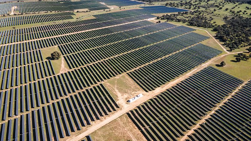 Marruecos aceite de oliva