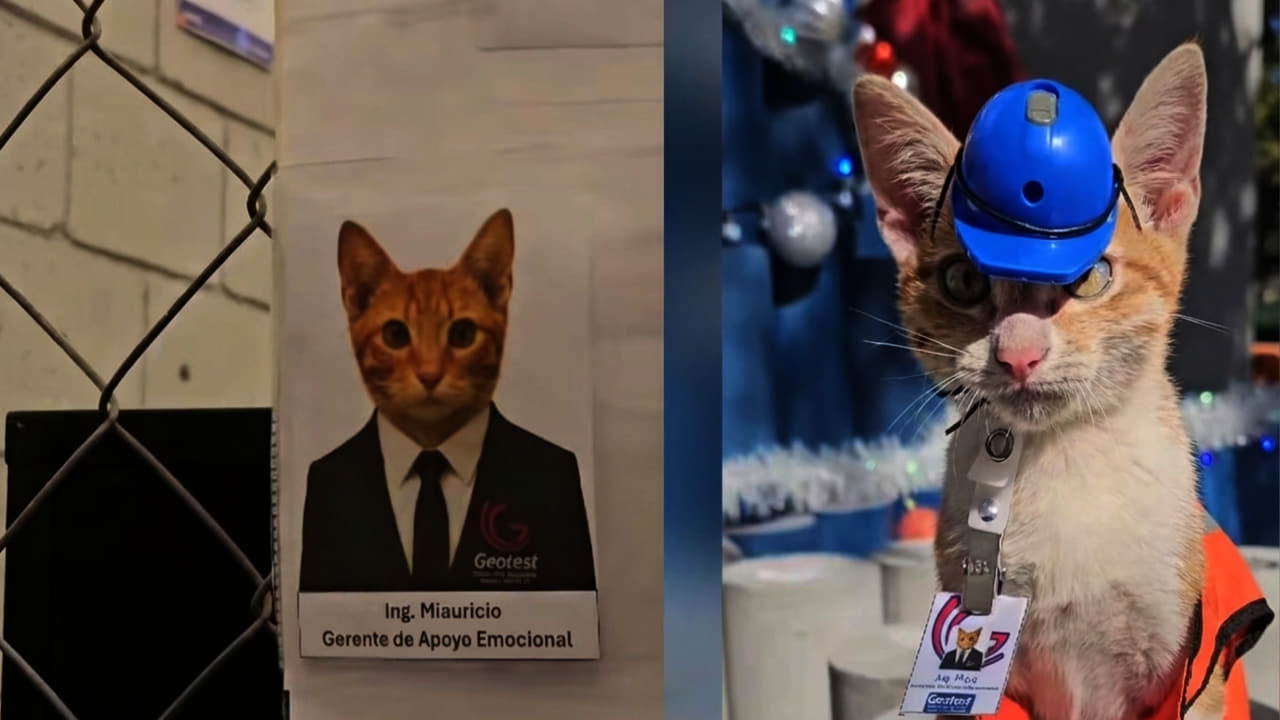 Montaje con capturas de video del ingeniero miauricio